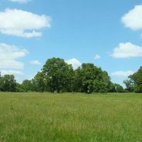 39 Acres Paved Road Frontage Ponds Electric Fenced Cross Fenced images 3