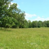 39 Acres Paved Road Frontage Ponds Electric Fenced Cross Fenced images 4