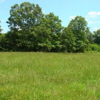 39 Acres Paved Road Frontage Ponds Electric Fenced Cross Fenced images 5