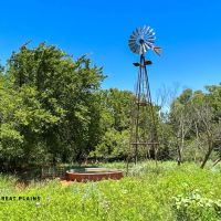 Red Rock West images 3