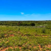 Red Rock West images 5