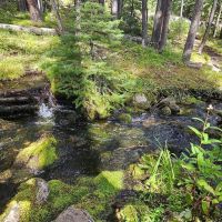 Jensen Creek Hideaway images 3