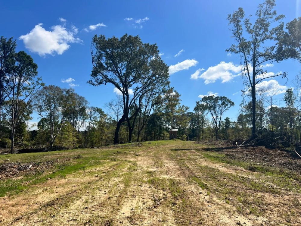 180 Acres in Yazoo and Holmes County MS featured image