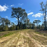 180 Acres in Yazoo and Holmes County MS