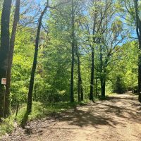 180 Acres in Yazoo and Holmes County MS images 4