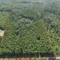 22 - Acres in Camden County GA images 2