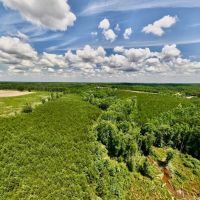 20 acres of Recreational and Residential Land For Sale in Nash County NC images 4