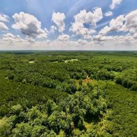 20 acres of Recreational and Residential Land For Sale in Nash County NC images 5