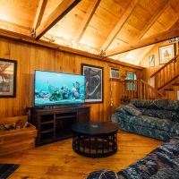 TWO Equity Shares and ONE Cabin at Hardin Point Hunting Club in Lee County Arkansas images 3