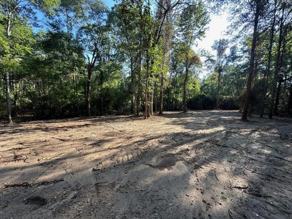- 20.92 Acre Wooded Property with Homesite in Walthall County featured image