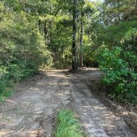 - 20.92 Acre Wooded Property with Homesite in Walthall County images 2