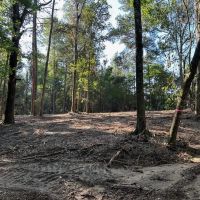 - 20.92 Acre Wooded Property with Homesite in Walthall County images 5
