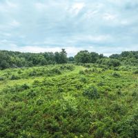 H Highway Commercial Acres images 2