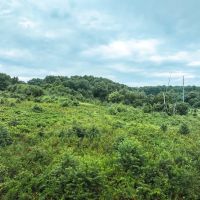H Highway Commercial Acres images 3