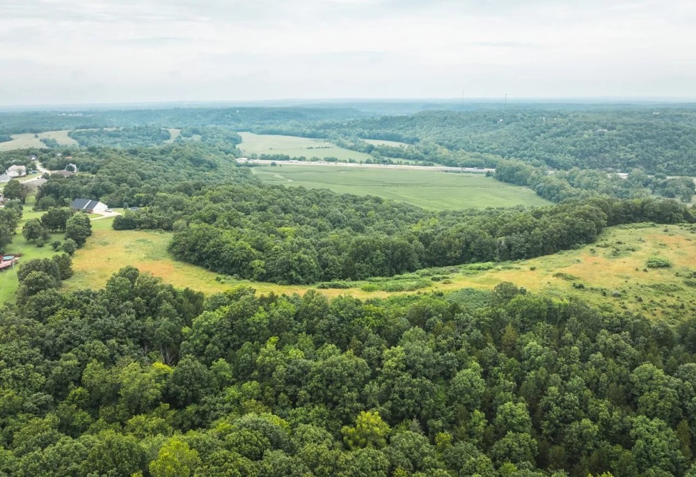 Salina Woods and Pasture featured image
