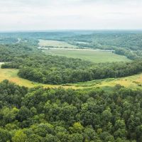 Salina Woods and Pasture images 1