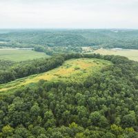 Salina Woods and Pasture images 2