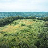 Salina Woods and Pasture images 3