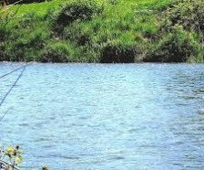 Kishwaukee River WMA - 570 Acres for hunting Turkey in Dekalb, IL