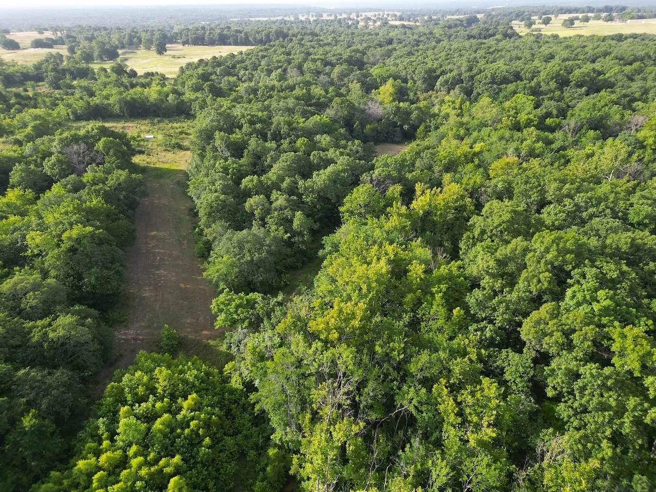 Konawa 58 Hunting Land for Sale