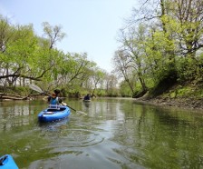 Mackinaw River State - 1,428 acres for hunting Deer in Tazewell, IL