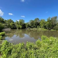 260 Dawson Texas images 2