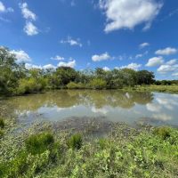 260 Dawson Texas images 4