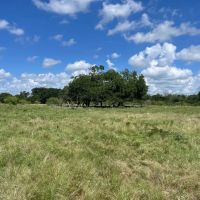 260 Dawson Texas images 5