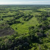 355-Acre Comanche Flats Ranch near Lockhart Texas images 3