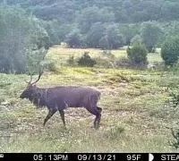 24501 HWY 83 Concan images 3
