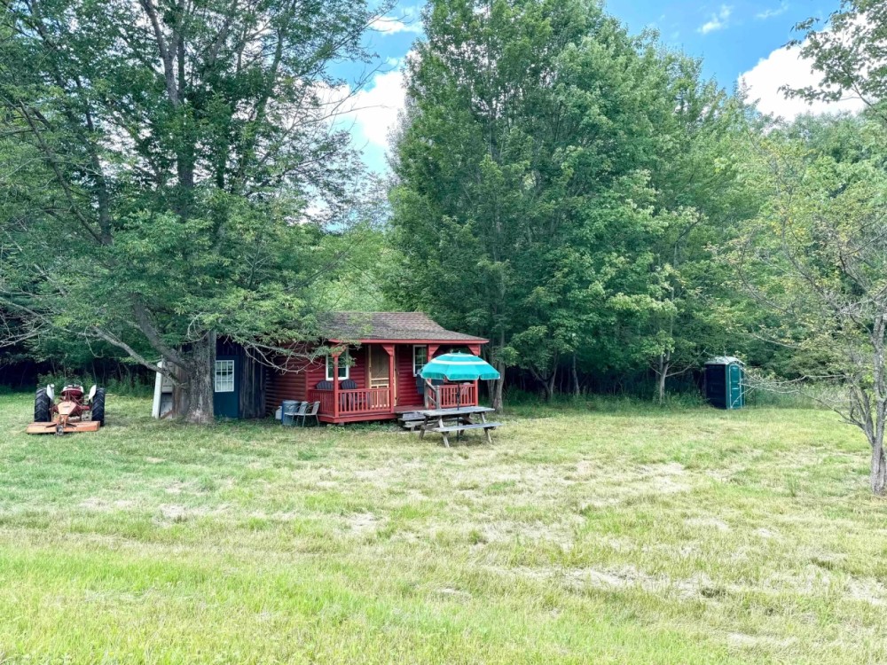 Cabin with Pond on 10 acres of Hunting Land in Alma NY 1599 White Hill Rd featured image