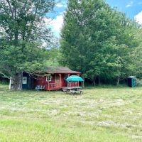 Cabin with Pond on 10 acres of Hunting Land in Alma NY 1599 White Hill Rd
