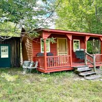 Cabin with Pond on 10 acres of Hunting Land in Alma NY 1599 White Hill Rd images 2