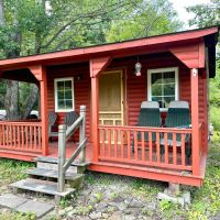 Cabin with Pond on 10 acres of Hunting Land in Alma NY 1599 White Hill Rd images 3