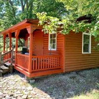 Cabin with Pond on 10 acres of Hunting Land in Alma NY 1599 White Hill Rd images 4