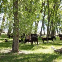 Saratoga North Platte River Ranch images 2
