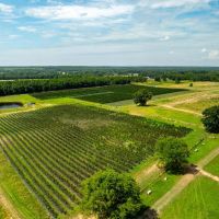 153 - Acre Organic Working Blackberry Farm Office Equipment New Home Sherwood Arkansas images 2