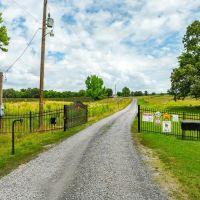 153 - Acre Organic Working Blackberry Farm Office Equipment New Home Sherwood Arkansas images 3