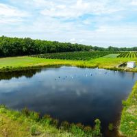 153 - Acre Organic Working Blackberry Farm Office Equipment New Home Sherwood Arkansas images 4