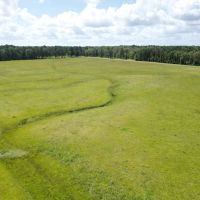 LA - Caldwell 82 acres - images 3