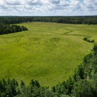 LA - Caldwell 82 acres - images 4