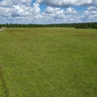 LA - Caldwell 82 acres - images 5