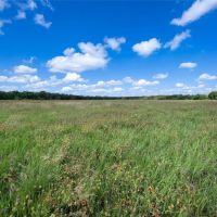 1100 CR 2440 Hico TX 76649 images 3
