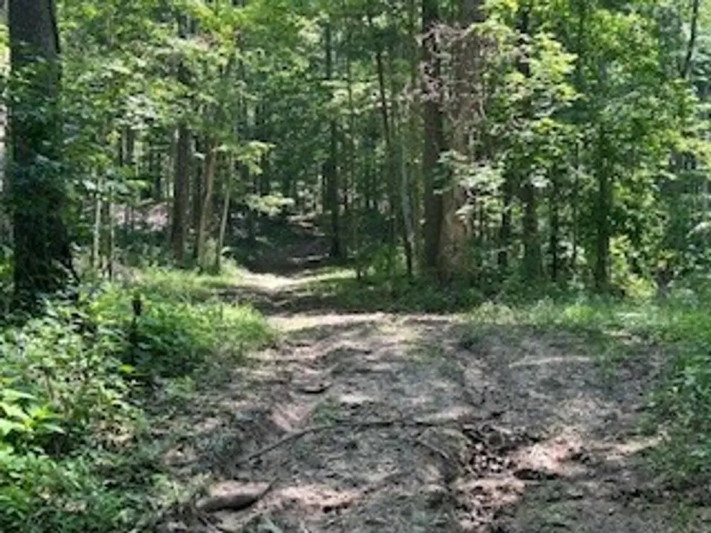 Land For Sale in Clay County IN 123 Acres - With a 42x32 Building and New Pond featured image