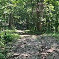 Land For Sale in Clay County IN 123 Acres - With a 42x32 Building and New Pond