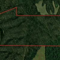 Land For Sale in Clay County IN 123 Acres - With a 42x32 Building and New Pond images 2