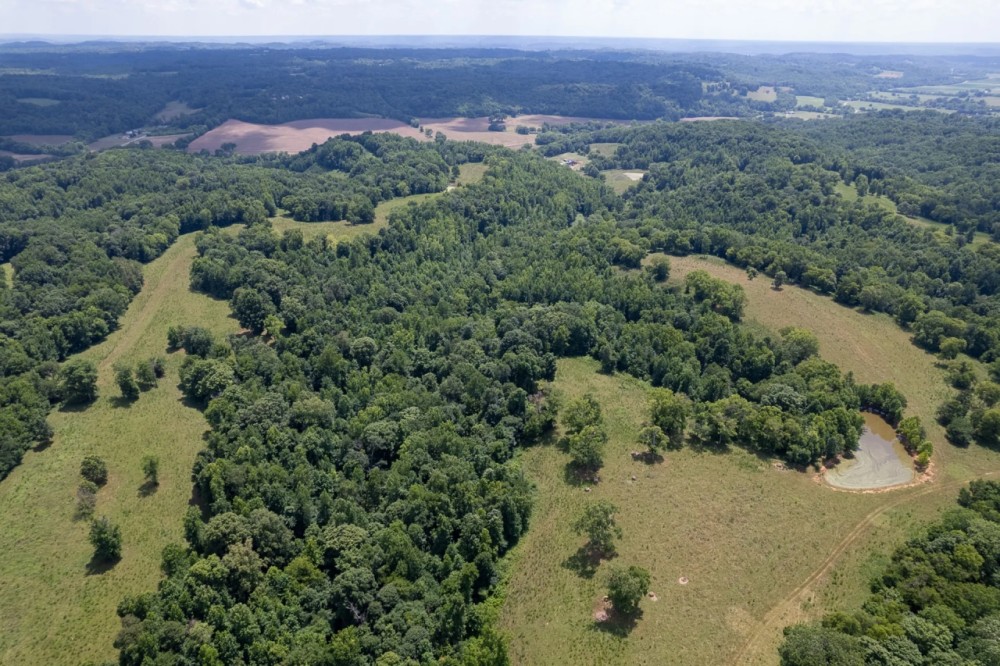 Giles County 239 Acres featured image