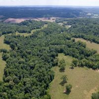 Giles County 239 Acres