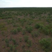 Back on the Market 367.64 Acres Jones County images 3