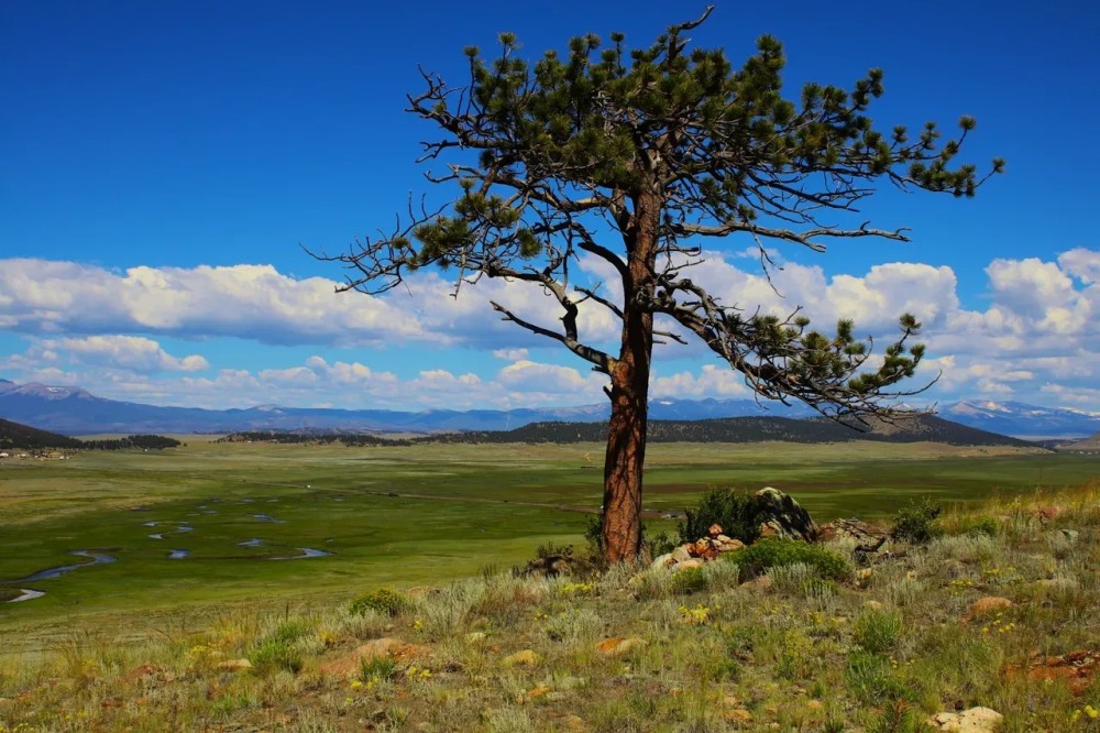 River View Ranch featured image